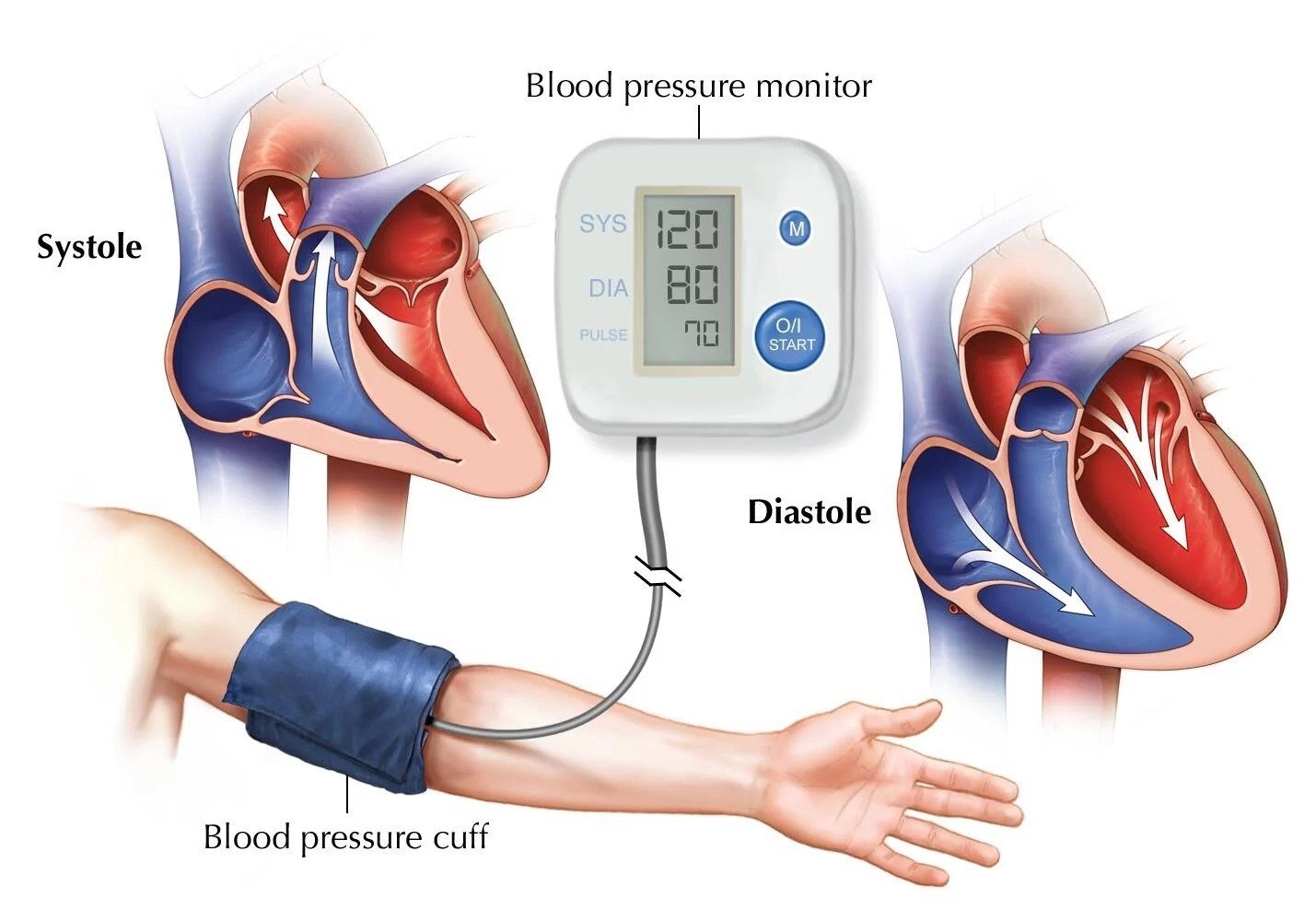 blood pressure measurement 1 1